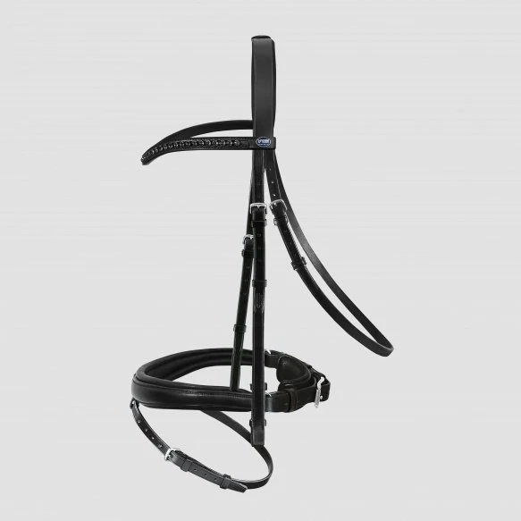 Bridon Passier Apollo – Image 3