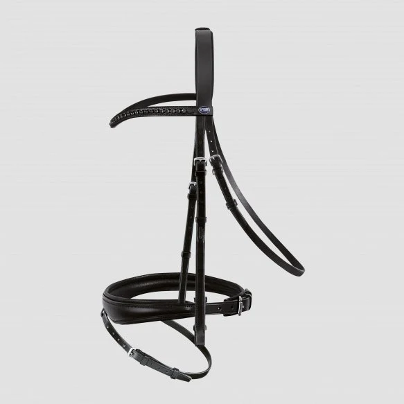 Bridon Passier Apollo – Image 5