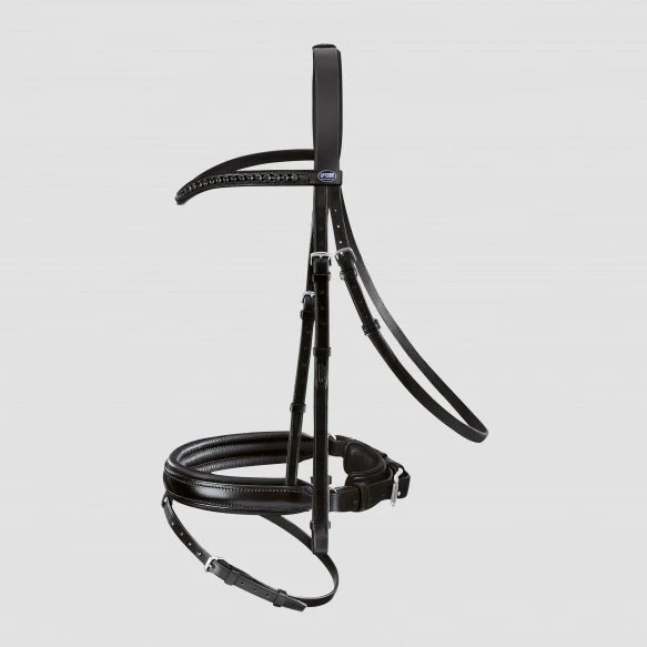 Bridon Passier Apollo – Image 9