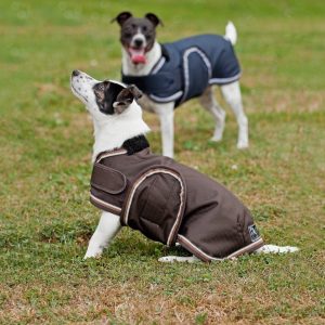 13990.jpgv1696853166 Couverture pour chien Ripstop Eskadron