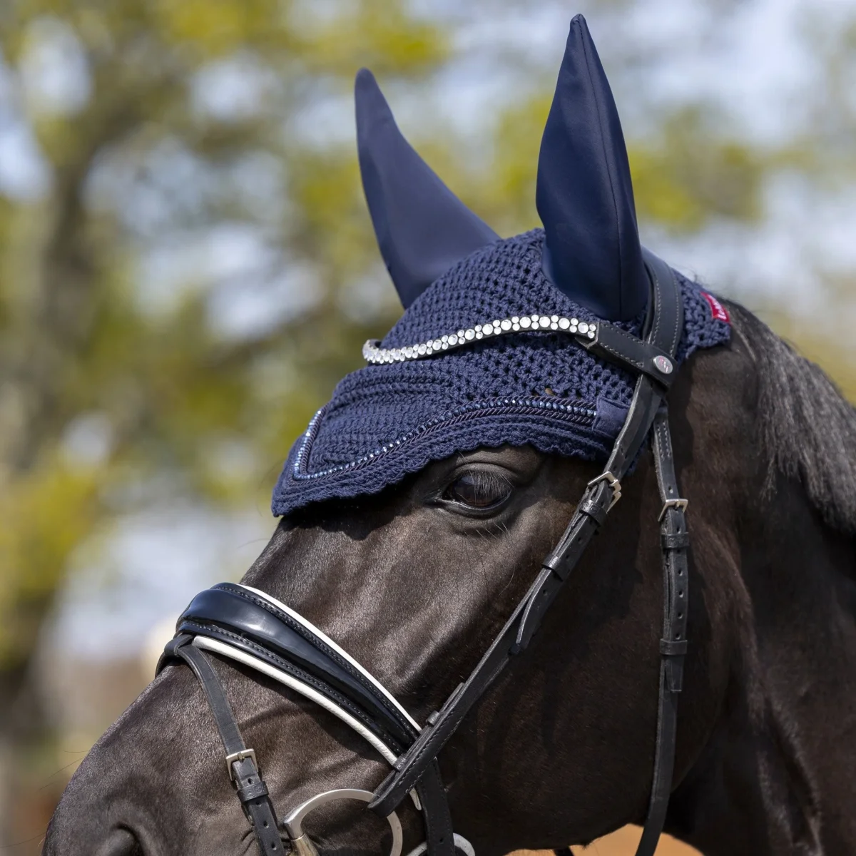 Bonnet Diamante Acoustic Le Mieux – Image 3