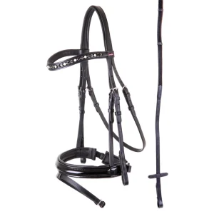 Bridon Premiere Grenoble