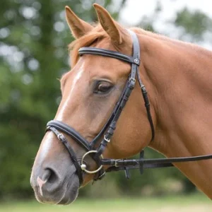 Bridon Stamford Shires