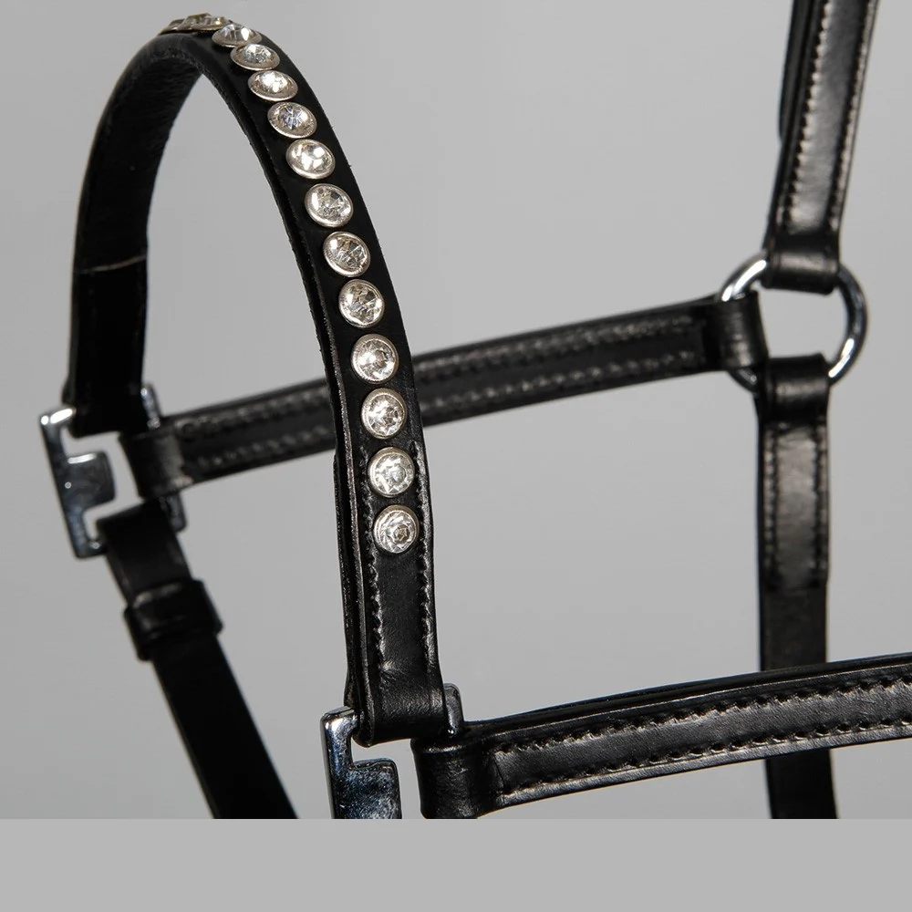 Licol en cuir noir poney/poulain crystal – Image 2