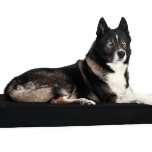 Matelas ergonomique pour chien Back On Track