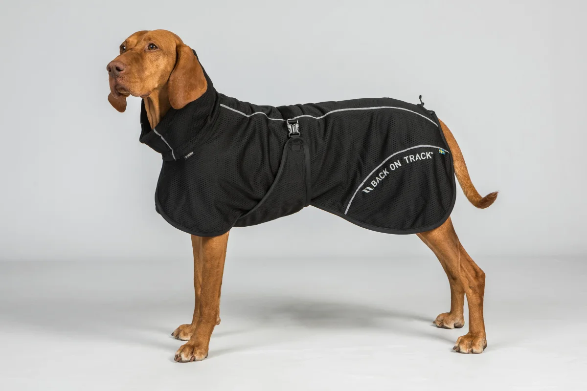 Manteau pour Chien Bay en Mesh – Queue Haute Back on Track – Image 3