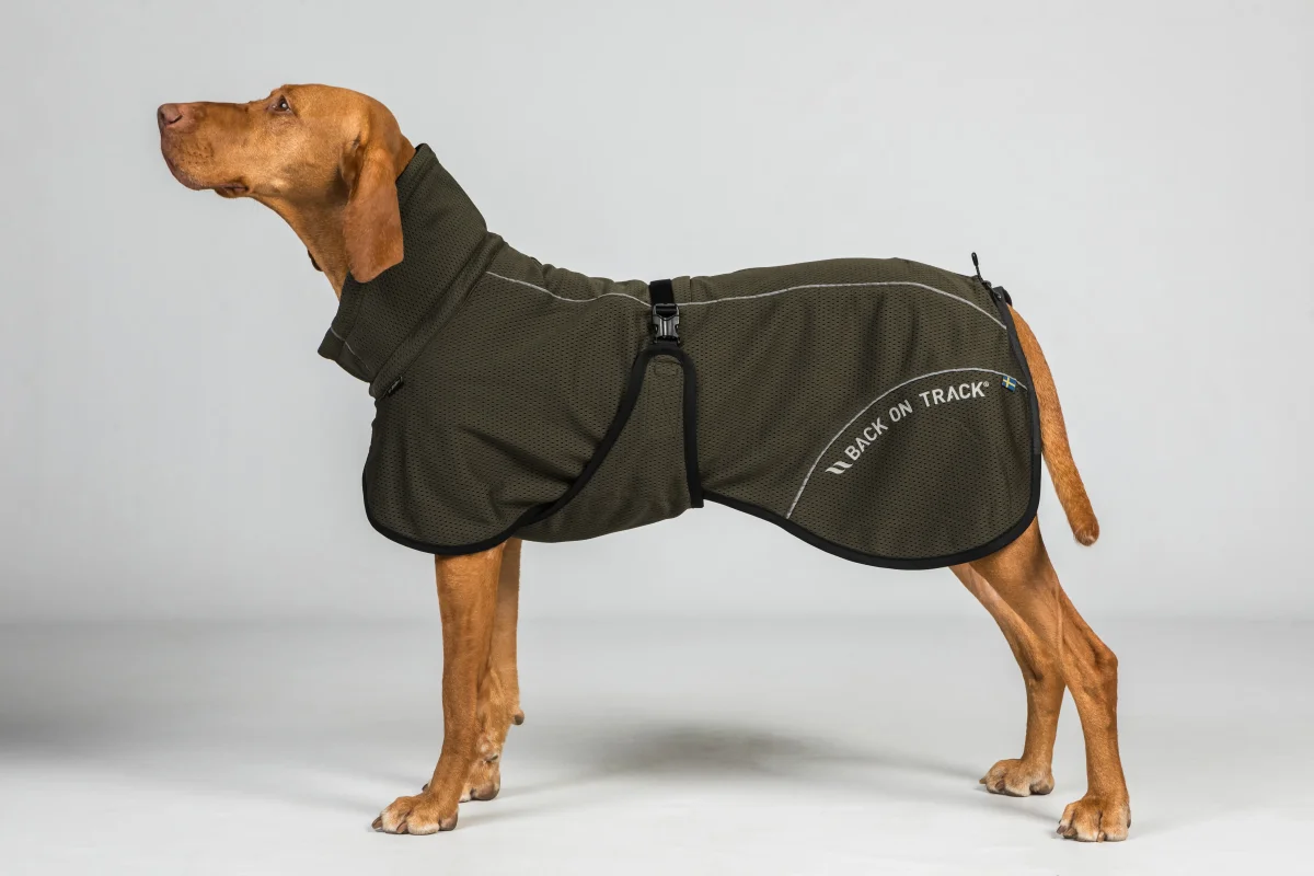 Manteau pour Chien Bay en Mesh – Queue Haute Back on Track – Image 4