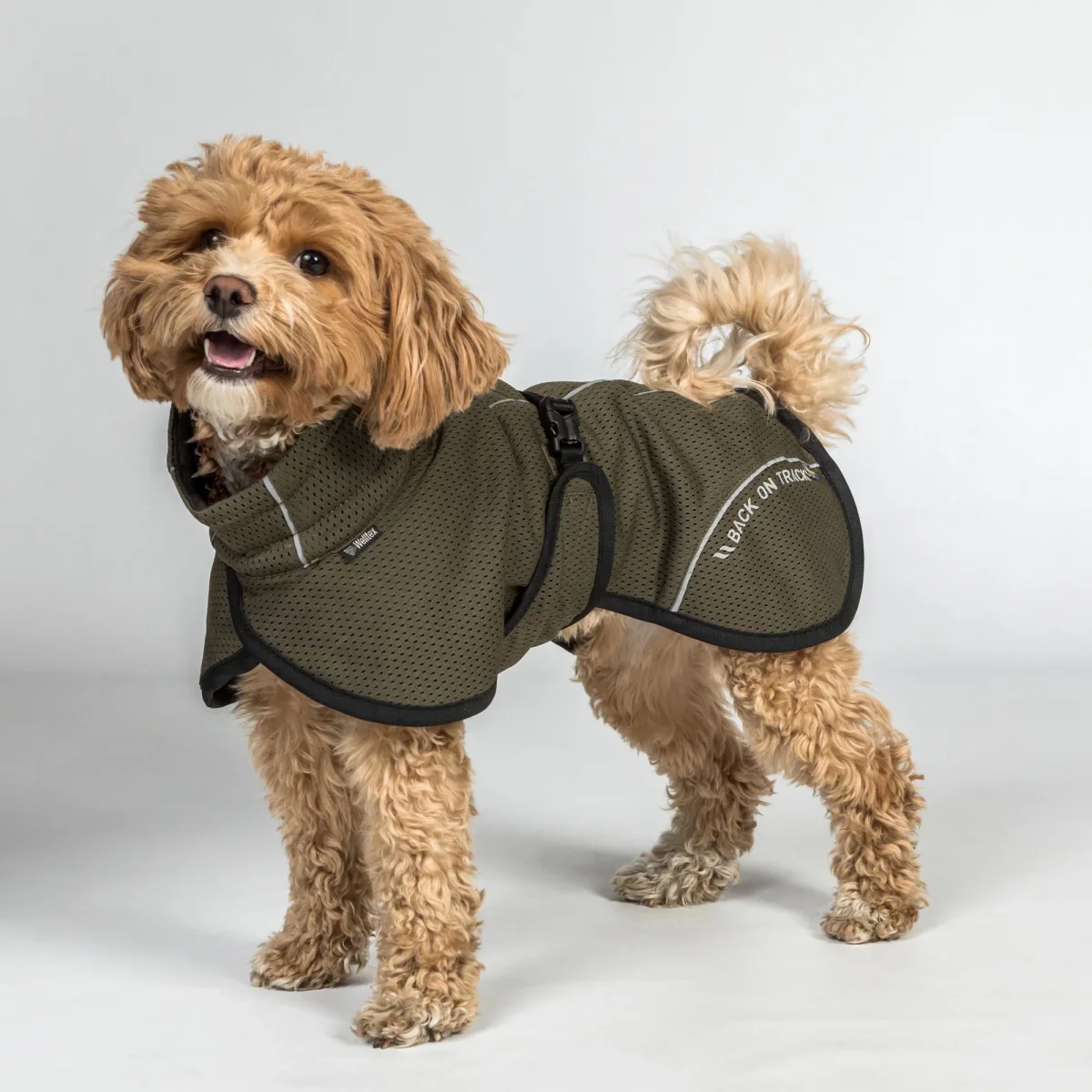 Manteau pour Chien Bay en Mesh – Queue Haute Back on Track – Image 5