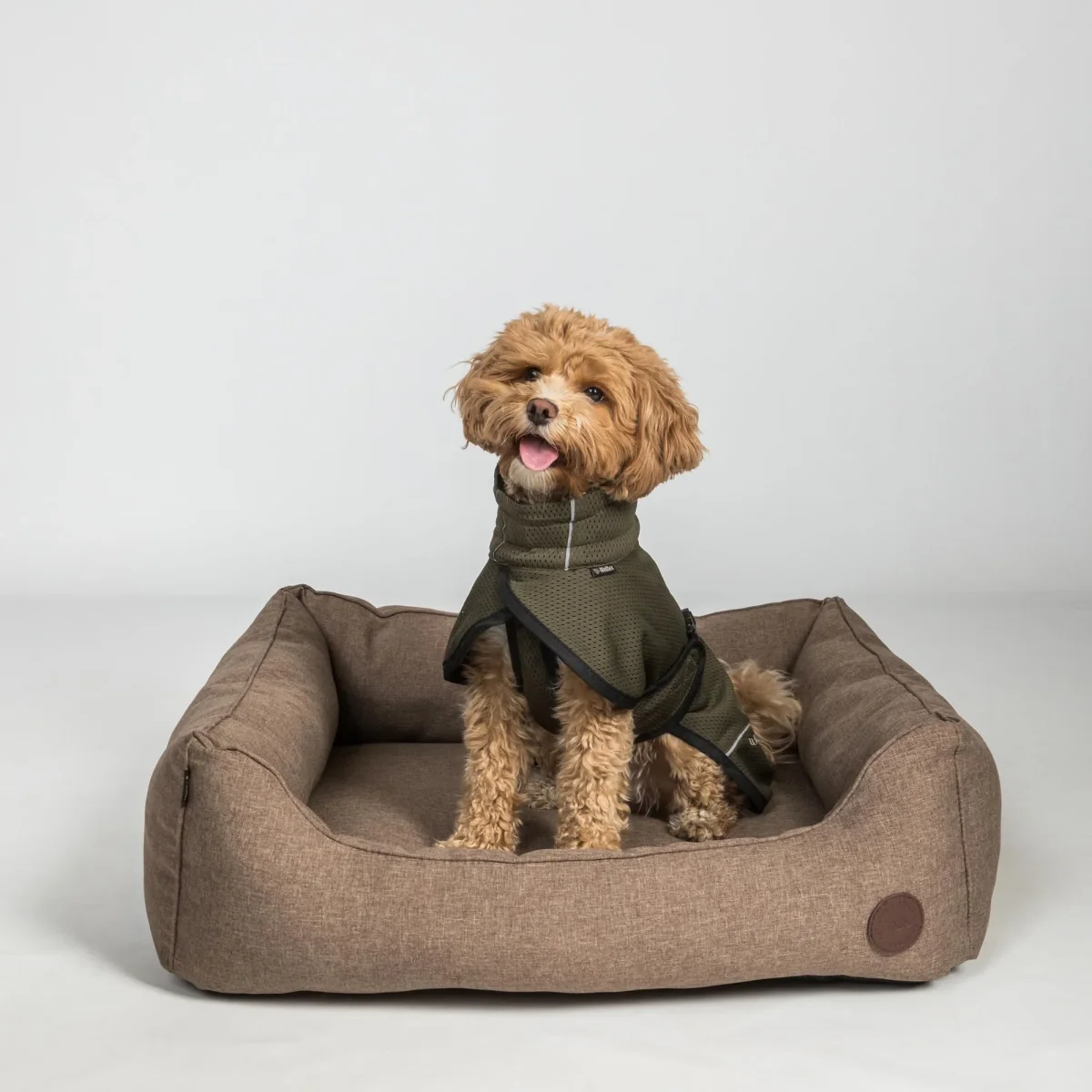 Manteau pour Chien Bay en Mesh – Queue Haute Back on Track – Image 6