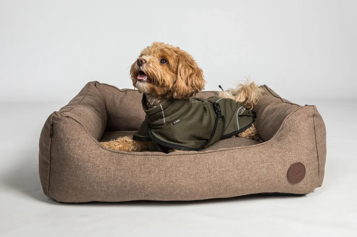 Manteau pour Chien Bay en Mesh – Queue Haute Back on Track – Image 7