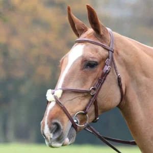 Bridon Burford Shires Blenheim