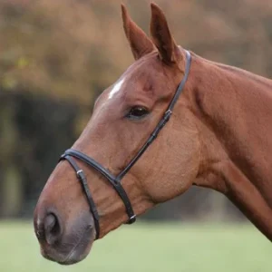 Muserolle combinée poney