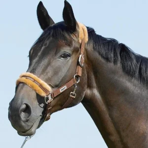 4192.jpgv1668597908 Licol Classic Sport Eskadron mouton