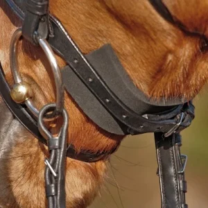 Pad de muserolle Kavalkade