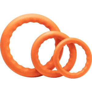 Anneau de jeu Sprenger pour chien