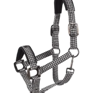 A004477_V_BJ_01.jpgv1756242306 Licol CAVALPEPPY – Cavallo