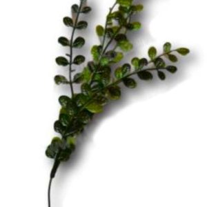 Branche d&rsquo;acacia synthétique