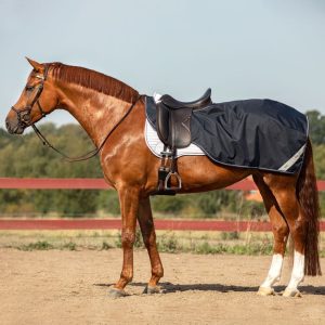 agpc90-bbw0-amigo-ripstop-competition-sheet-fleece-lining_lhpys1qm4vcj6fzh.jpgv1727043441 Couvre-reins imperméable Amigo Horseware