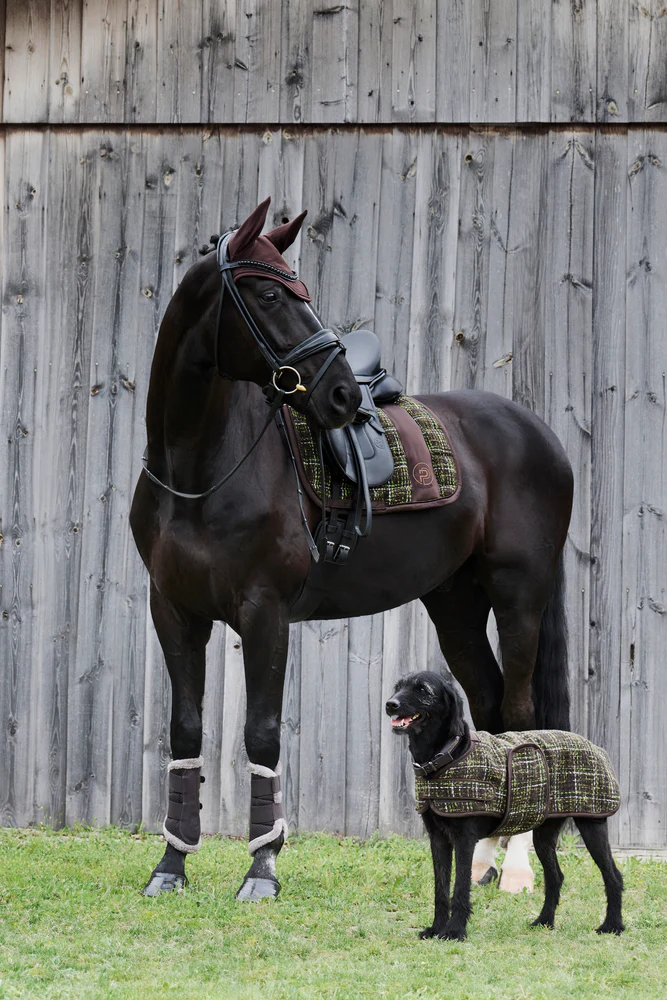 Manteau pour chien BOUCLÉ Eskadron Platinum 24 – Image 2