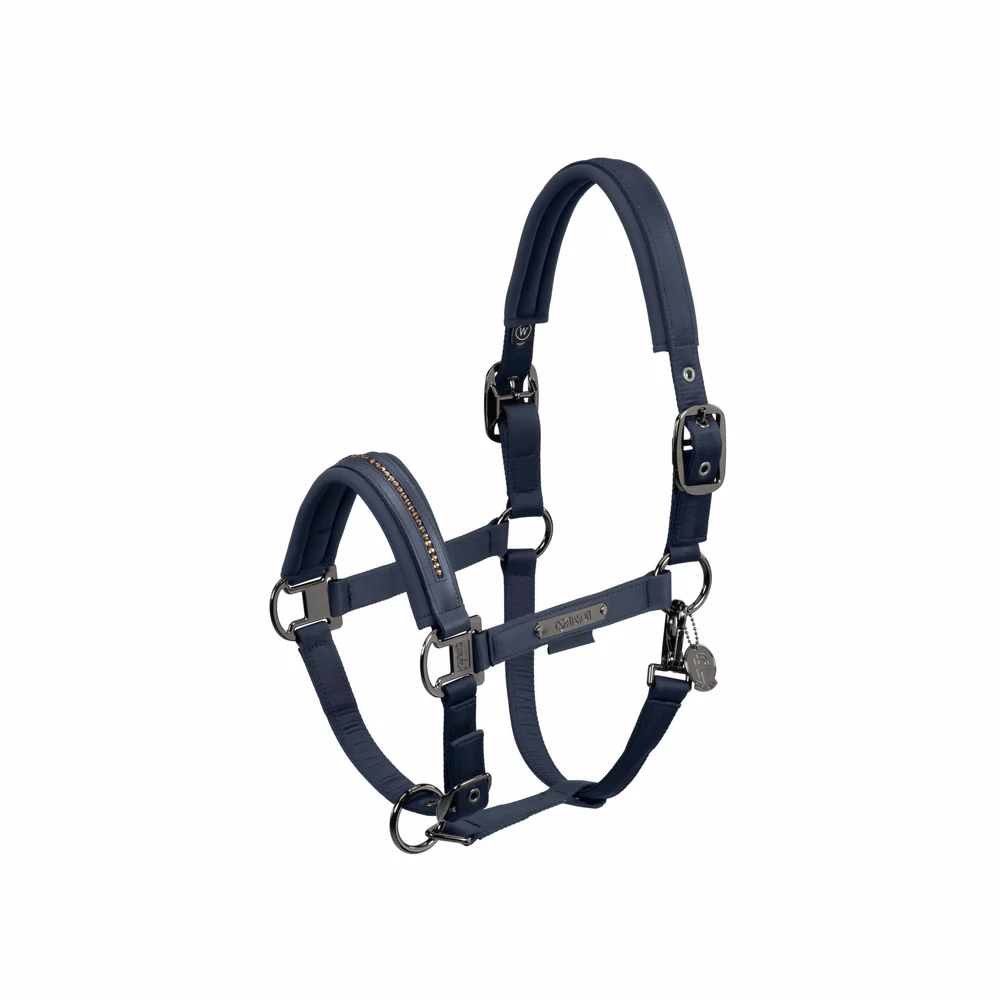 Licol DOUBLE PIN GLOSSY CRYSTAL Eskadron Platinum 24 – Image 4