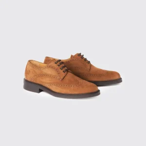 Chaussures Derby Brogue Derry  - Brown