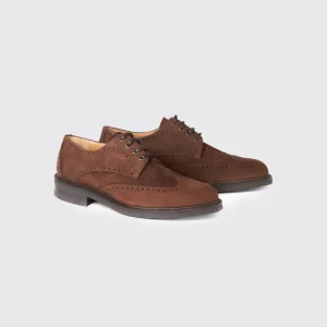 Chaussures Derby Brogue Derry  - Walnut